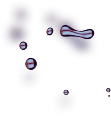 Trade MaxAir - About our team